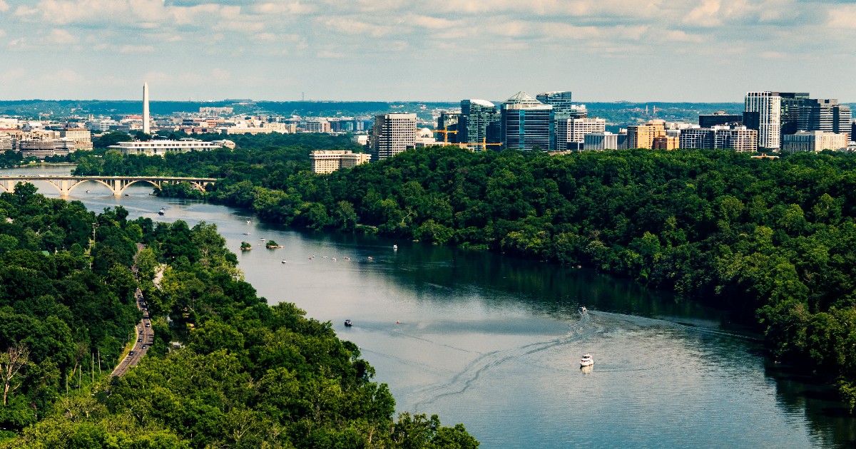 It feels like Spring is slowly coming through. What are you most excited for?

📸 David Hills | <a href="/StayArlington/">All in Arlington</a>