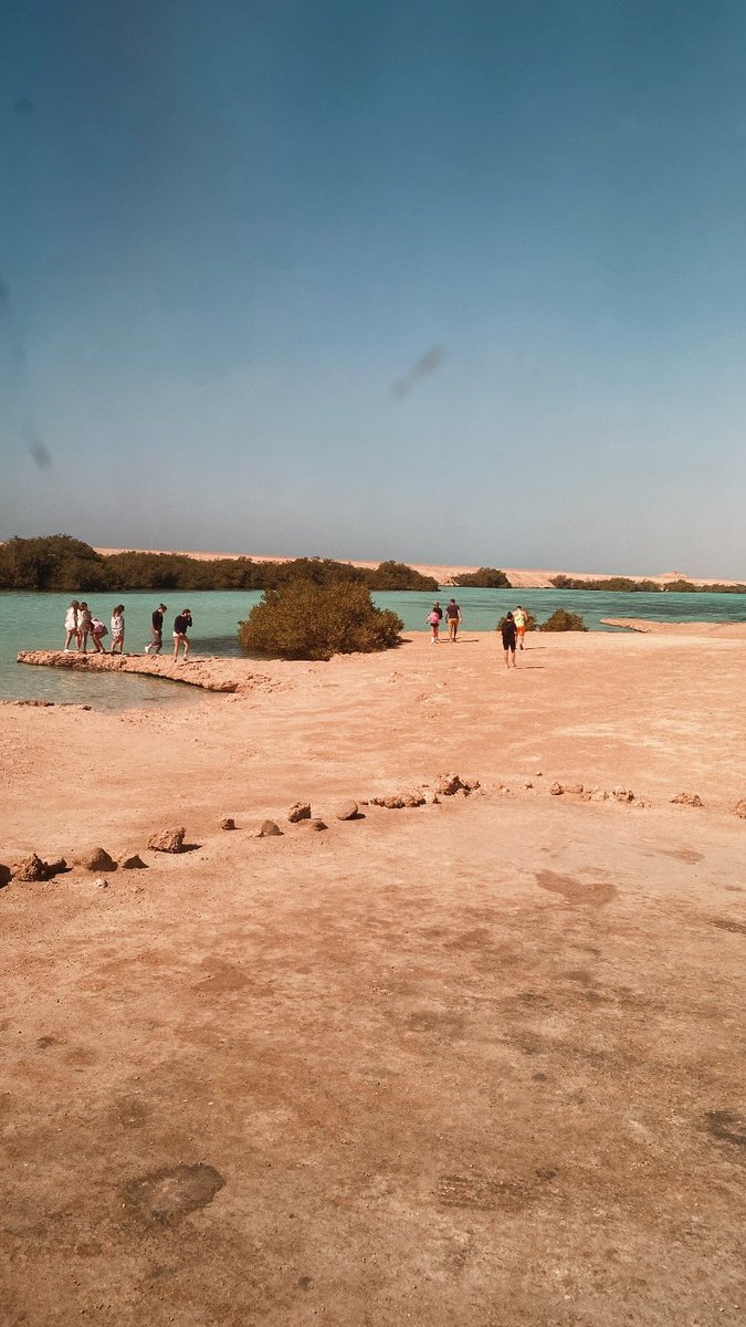notfoundhere__'s tweet photo. Ras muhamed - sharm elsheik 
Egypt📍 https://t.co/QRpu7yBqaF
