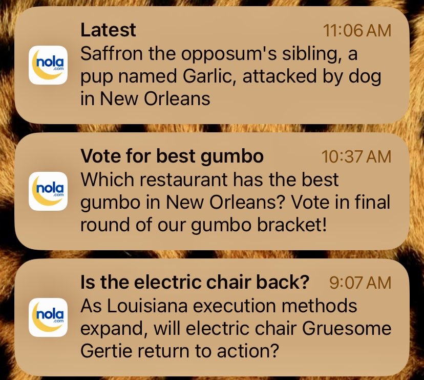 New Orleans push notifications just hit different than those anywhere else