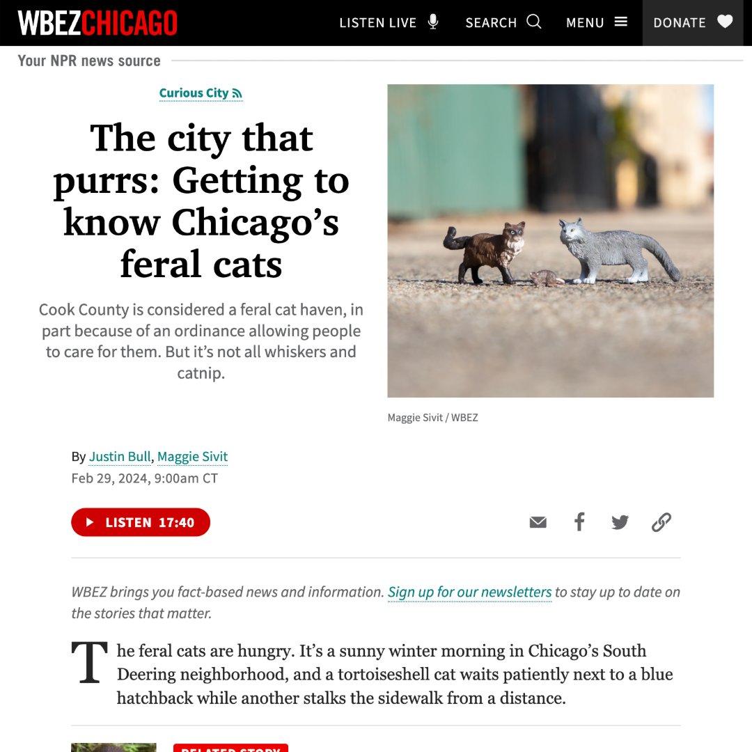 TRUTH & DOCUMENTARY (@truthanddoc) on Twitter photo Check out the latest episode of <a href="/WBEZCuriousCity/">Curious City</a> featuring Cat City director Ben Kolak, <a href="/TreeHouseCats/">Tree House Humane Society</a>, <a href="/CatsinAction2/">Cats in Action</a>, @chgobirdallianc and more. Head to the link in our bio to listen! 🎧 #feralcats #TNR #chicagocats #documentary #animalwelfare #animaladvocacy #conservation Check out the latest episode of <a href="/WBEZCuriousCity/">Curious City</a> featuring Cat City director Ben Kolak, <a href="/TreeHouseCats/">Tree House Humane Society</a>, <a href="/CatsinAction2/">Cats in Action</a>, @chgobirdallianc and more. Head to the link in our bio to listen! 🎧 #feralcats #TNR #chicagocats #documentary #animalwelfare #animaladvocacy #conservation