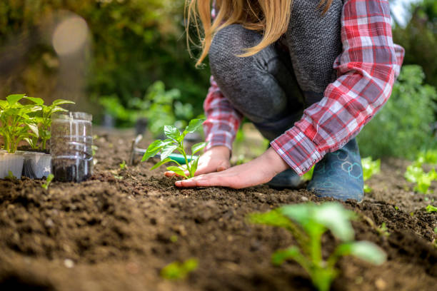 Allen Landscape tweet media