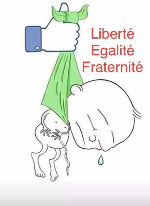 PepeIsja's tweet image. 