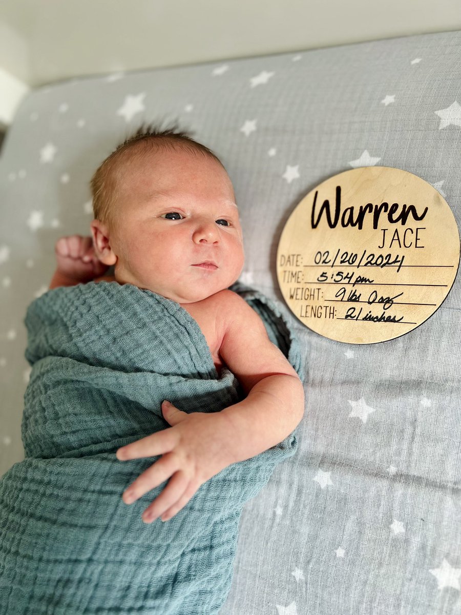 Todd Wolfson tweet media