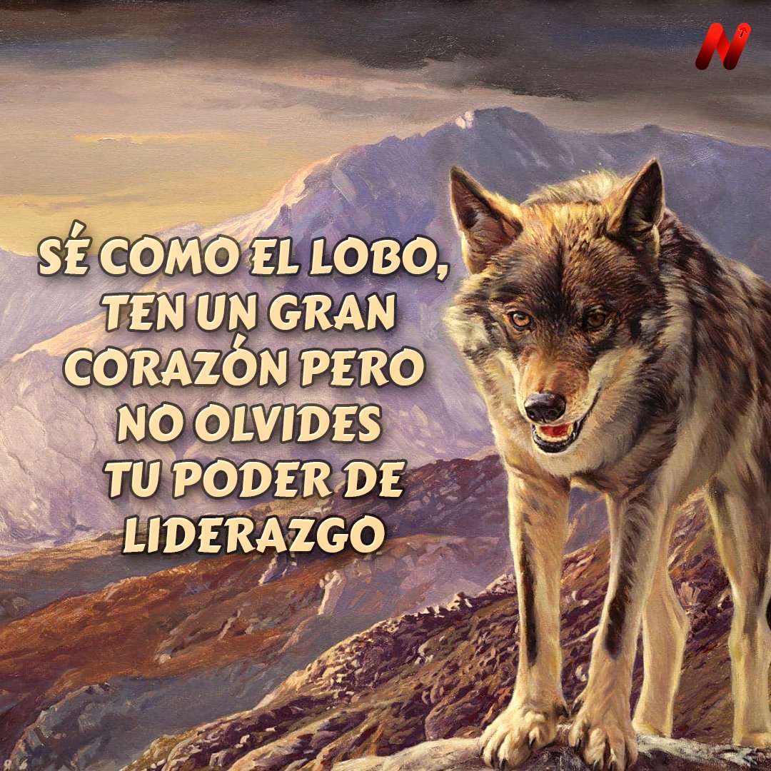Sé como el lobo, ten un gran corazón pero no olvides tu poder de liderazgo #negocios #emprendedores #emprendimiento #negociostart #frasesmotivadoras #lobo #lider #liderazgo