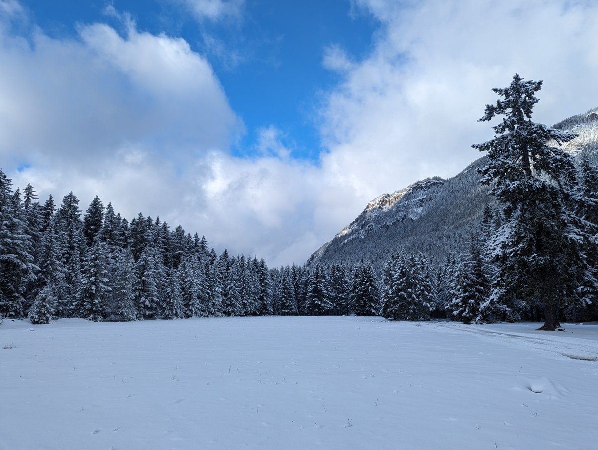 MtBakerSnoNF's tweet image. We have people coming out lately who are going to Crystal Mountain Ski Area, the gravel pit on FSR 70, or the Pyramid Creek Sno-Park. If you're looking for a free place for kids &amp;amp; dogs to play in the snow, please consider Ranger Creek Campground!  #MBS #USFS #playinthesnow