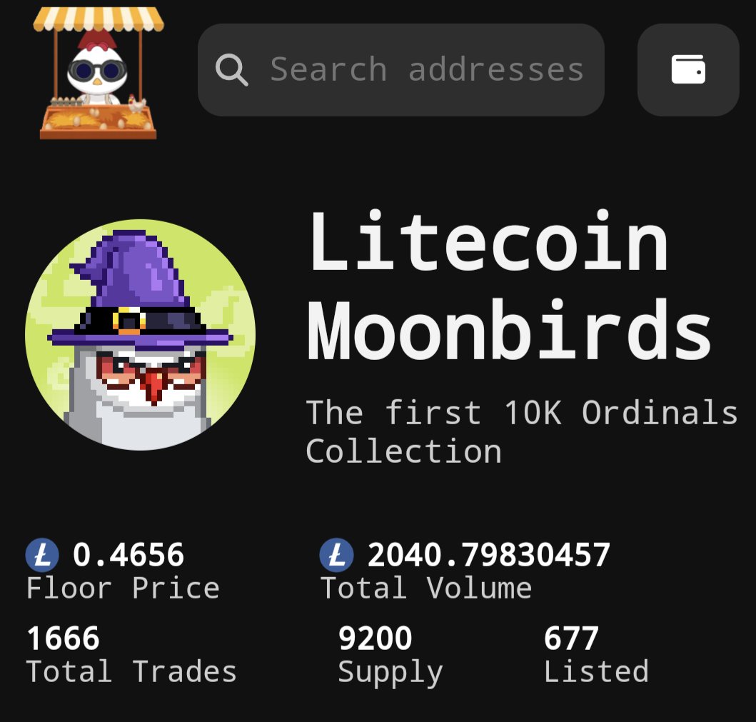 LoneWolfLiteⓂ️🕸 tweet media