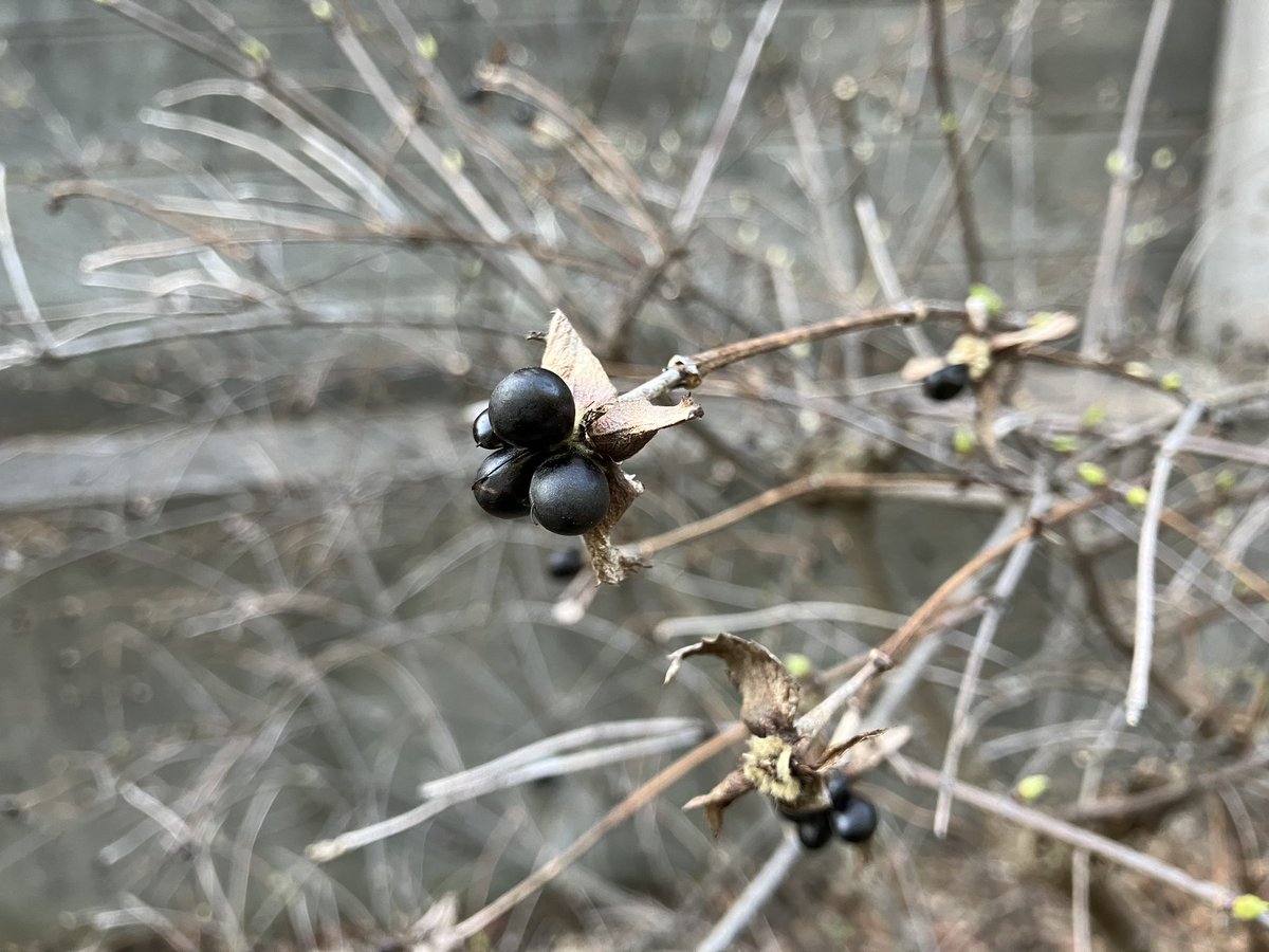 KerocV's tweet image. “No, not seven times,” Jesus replied, “but seventy times seven!
#MATTHEW18

どうしてもゆるせない相手がいる
…ということに気づいた週末
私の中で怒りの炎が燃え続けている

そんな私を
主はすでにゆるしてくださっている

私もゆるせるようになりたい

相手ではなく
自分の傷を眺めてみよう