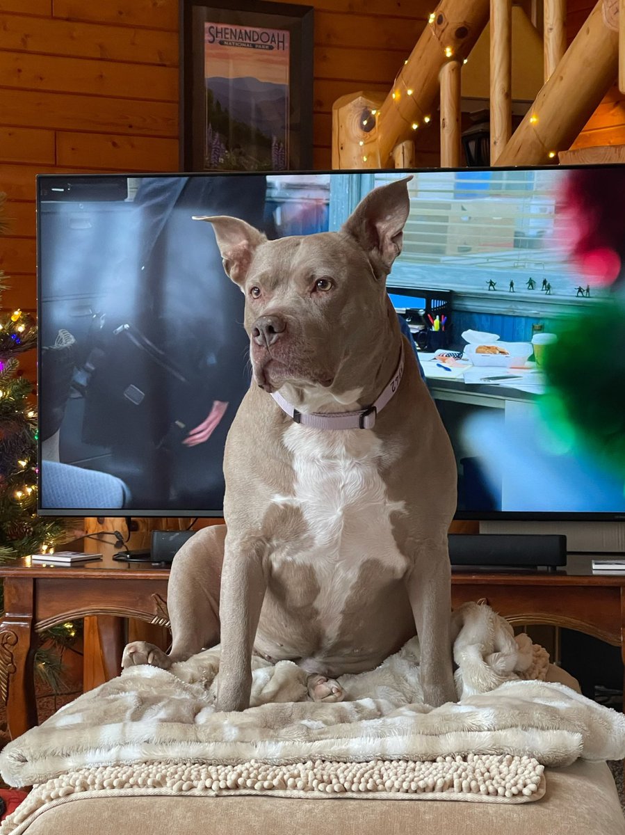 Cathy Church (@mqtairbnb) on Twitter photo 