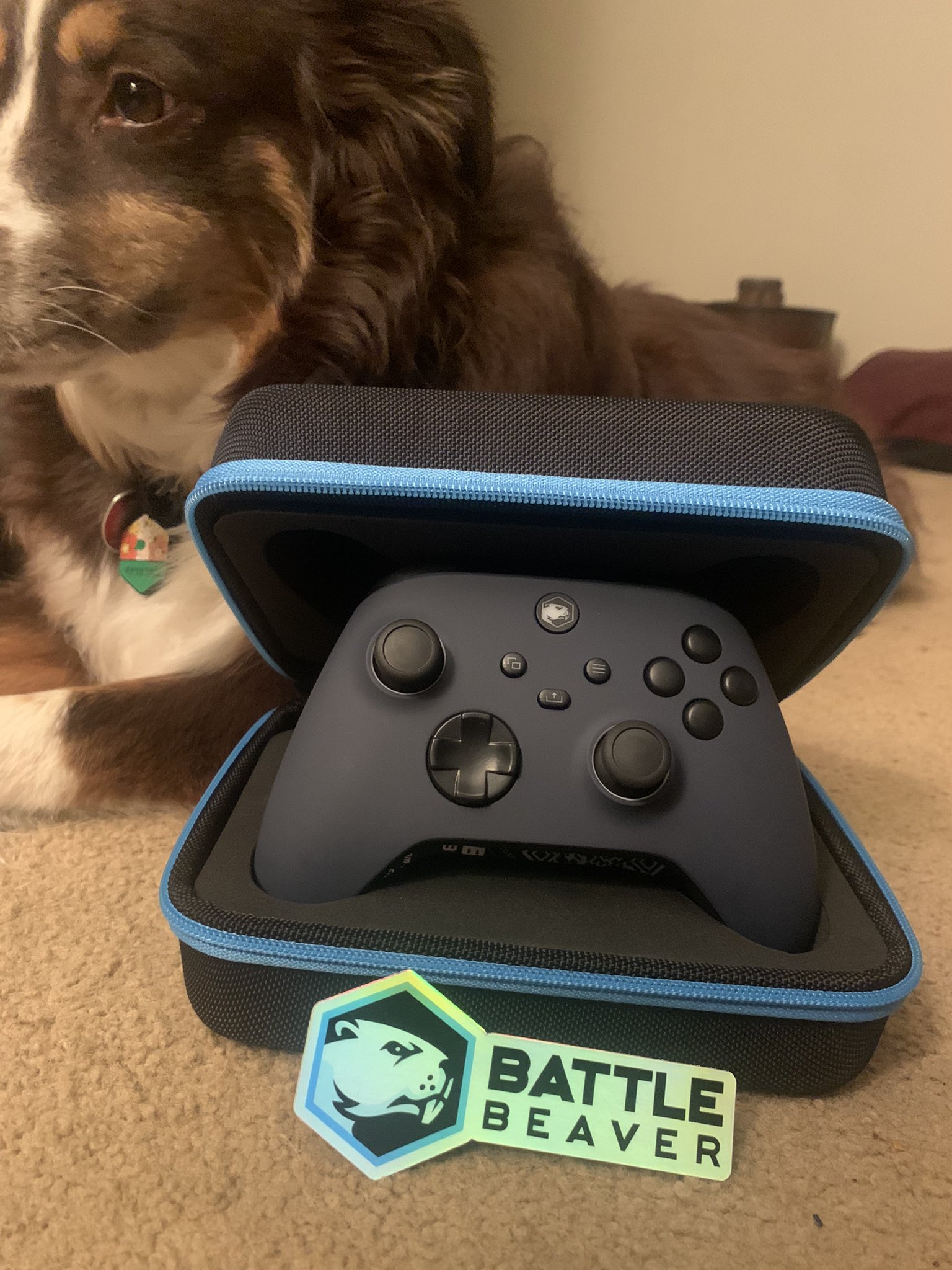 Battle beaver controller xbox sale