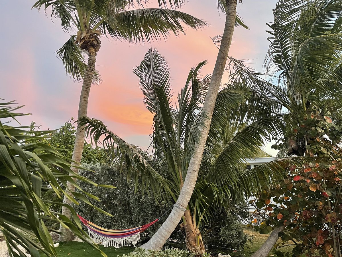 RandyPatrick840's tweet image. Relaxing evening #theKeys