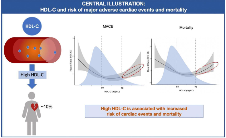 High HDL is NOT protective in women: Our study from the #WISE study, led by our amazing fellow @SRanasingheMD demonstrates this U shaped curve #HDL #women #lipids See our paper in @AHJ_Open sciencedirect.com/science/articl…