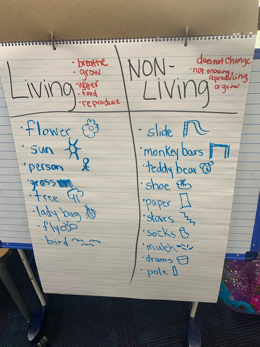 Our Kindergarteners explored the playground today to identify living and nonliving things. The students enjoyed applying their critical thinking skills to real-life examples. It was a fantastic hands-on learning experience for our young scientists! 🔬 ☀️ 🐞 🛝  #REYNproud
