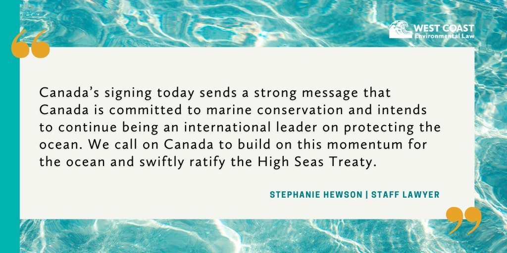 Canada has just signed the #HighSeasTreaty, which creates the first legal framework to protect biodiversity in the high seas 👏 The high seas cover almost half the planet. This is an important step towards a healthier, more resilient ocean. Our reaction: wcel.org/media-release/…