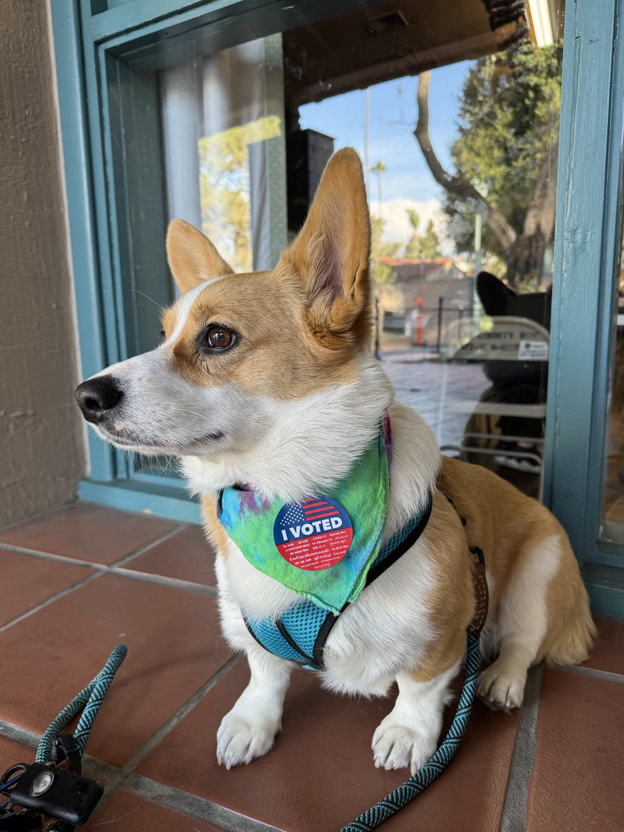 bikinginla's tweet photo. Guess who just voted for #MeasureHLA? ‘Cause corgos need safe streets, too. #corgthevote https://t.co/gwZaFX2xuo
