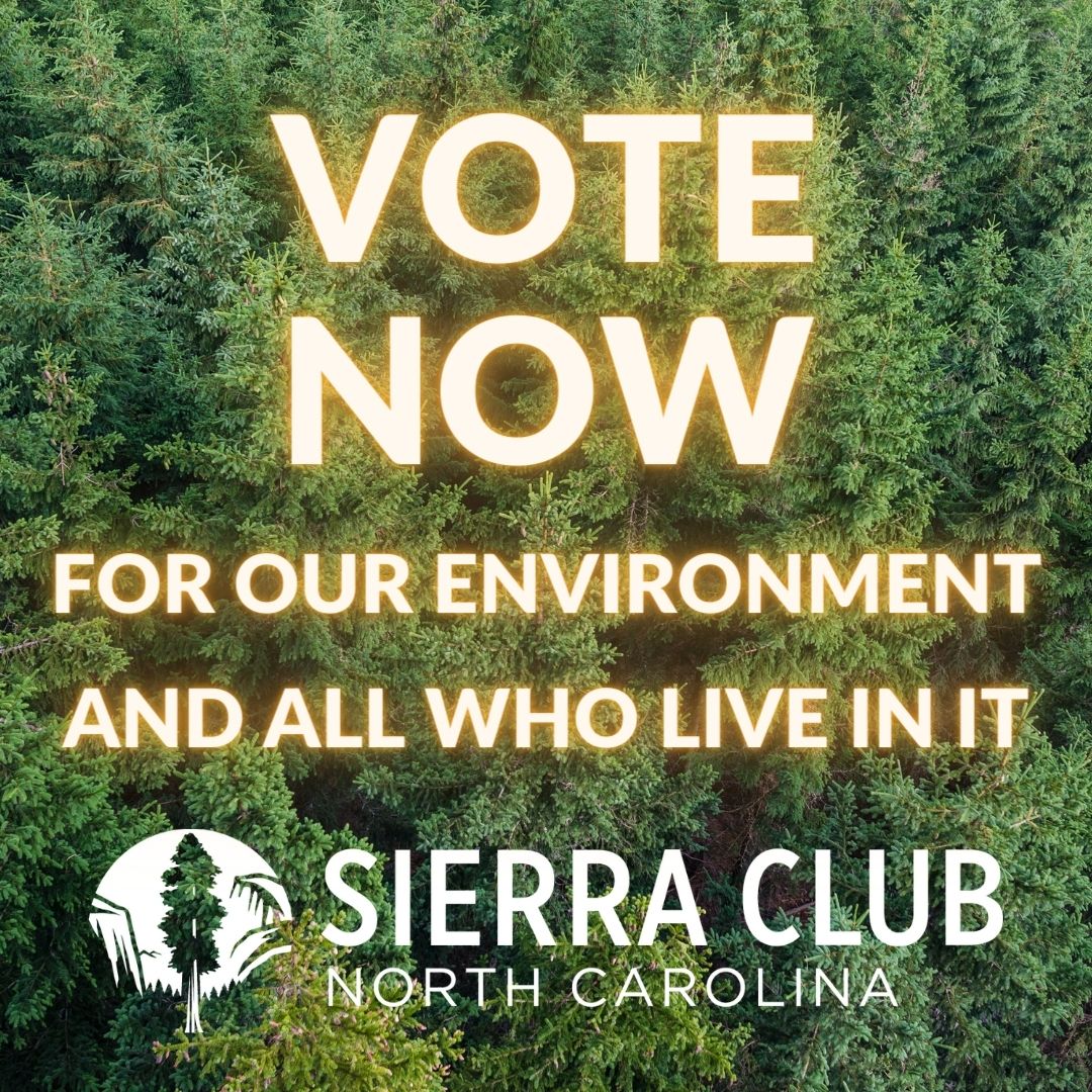 NC primary election day is TOMORROW. Haven't voted yet? Do it! Unsure who will be a champion for our environment? Check our endorsements sierraclub.org/north-carolina…