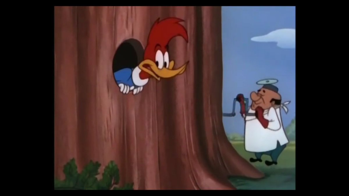 'Uh-oh! It's one of those crazy, mixed-up characters. I'll fix him.'

#WoodyWoodpecker #TheTreeMedic #ClassicCartoons