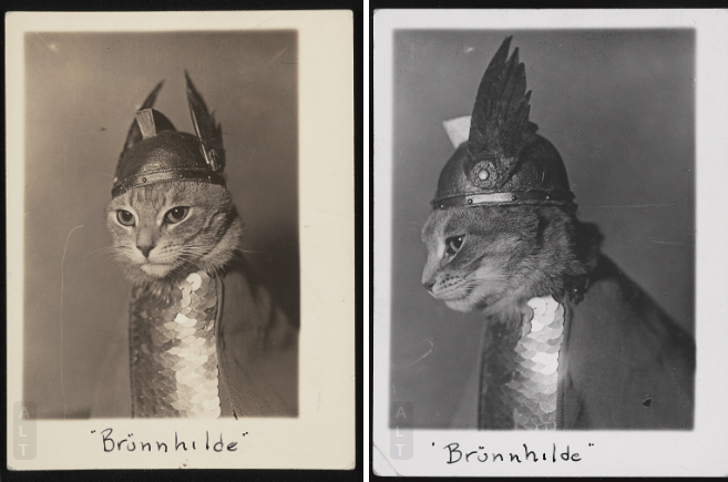 Brünnhilde. Library of Congress, 1936.