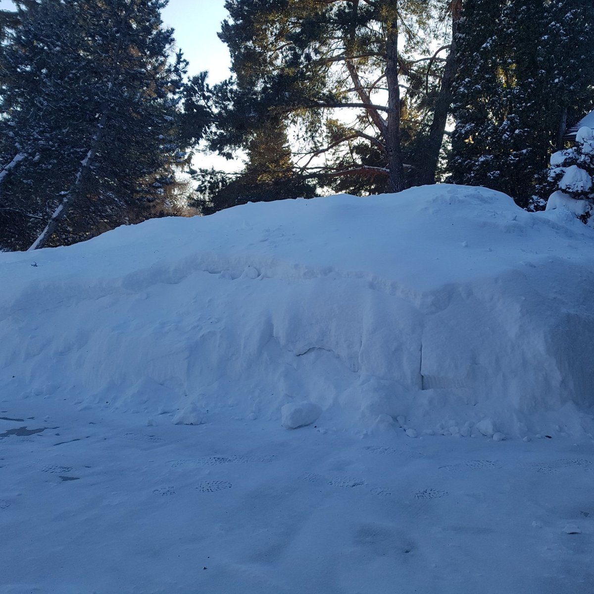 joanne_paulson's tweet photo. We call it the Matterhorn.
Snowverest?
#skstorm #snow #diggingout πππ https://t.co/nM82Xm83bs