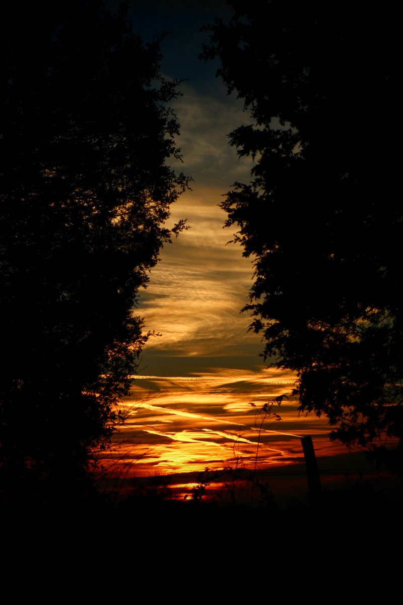 WillyDiam's tweet image. Sunset coloring...