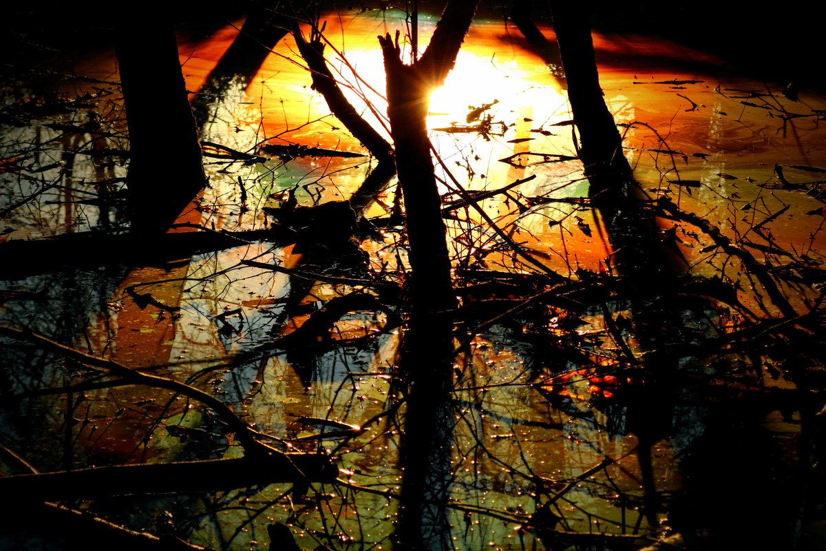 WillyDiam's tweet image. Sunset coloring...