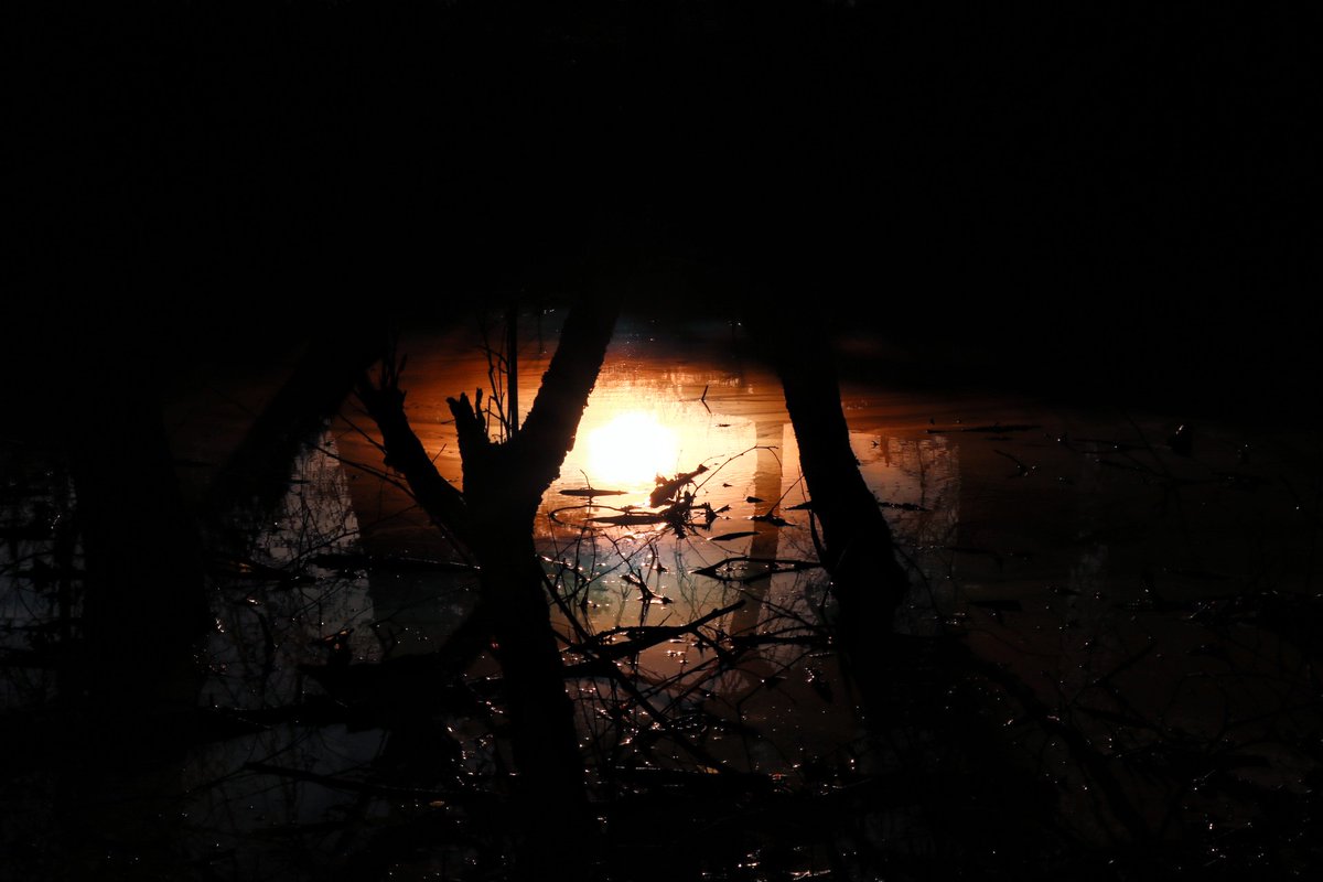 WillyDiam's tweet image. Sunset coloring...