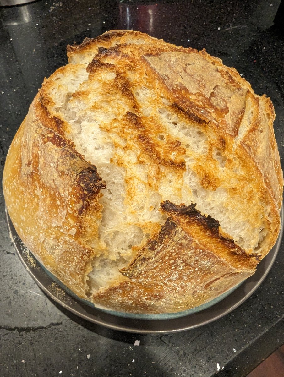 I put sourdough in the oven and bread came out!!