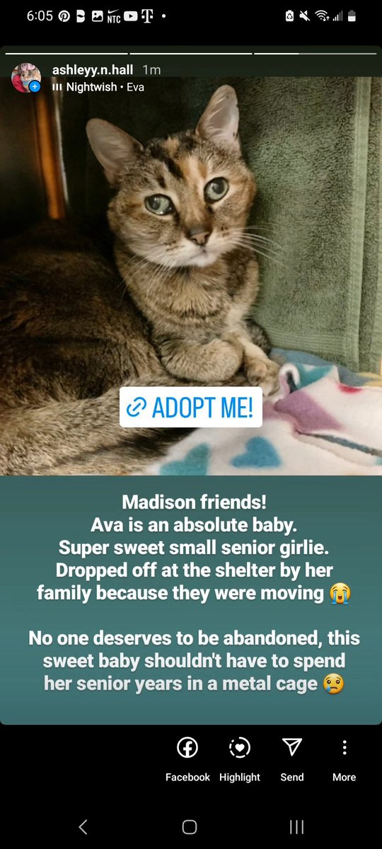 Someone go get this sweet baby ❤️