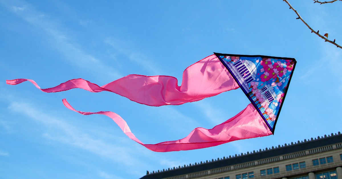 CherryBlossFest's tweet image. Don't miss the chance to debut the Official 2024 Festival kite featuring stunning artwork by Nicolas Shi at Blossom Kite Festival presented by @amazon on March 30! 🌸🪁

Secure yours today: brnw.ch/21wHzaO

#BlossomKiteFest #CherryBlossFest #SpringTogether