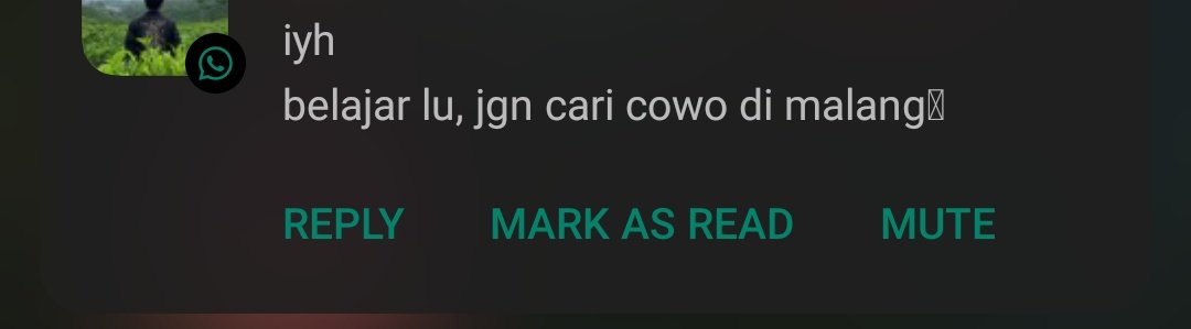 aryn tweet media