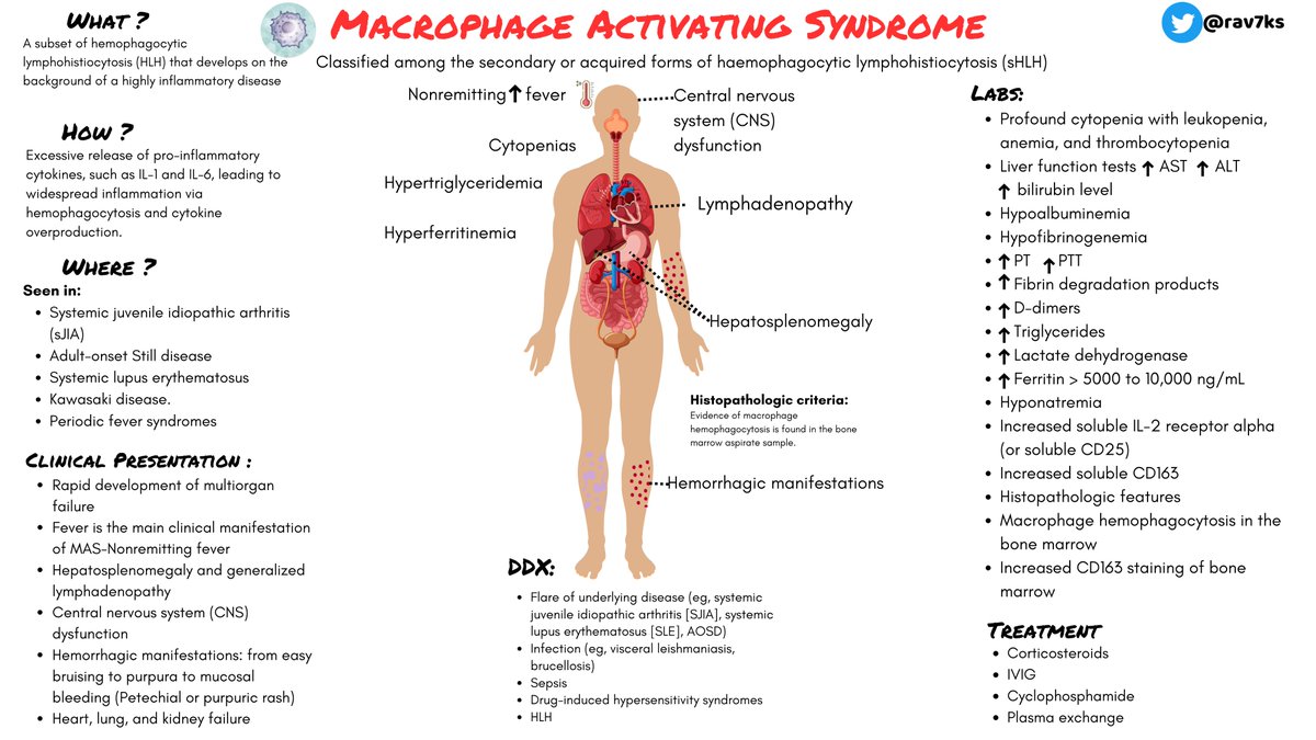 Ravi Singh (@rav7ks) on Twitter photo MAS came up on <a href="/CPSolvers/">The Clinical Problem Solvers</a> last week in a pt with AOSD. It's a hyperinflammatory state seen in rheumatic diseases like sJIA, AOSD and SLE. Macrophages go into overdrive, releasing cytokines causing fever, organ dysfunction, & life-threatening complications.#MedTwitter <a href="/zhoumy07/">Mengyu Zhou</a> MAS came up on <a href="/CPSolvers/">The Clinical Problem Solvers</a> last week in a pt with AOSD. It's a hyperinflammatory state seen in rheumatic diseases like sJIA, AOSD and SLE. Macrophages go into overdrive, releasing cytokines causing fever, organ dysfunction, & life-threatening complications.#MedTwitter <a href="/zhoumy07/">Mengyu Zhou</a>