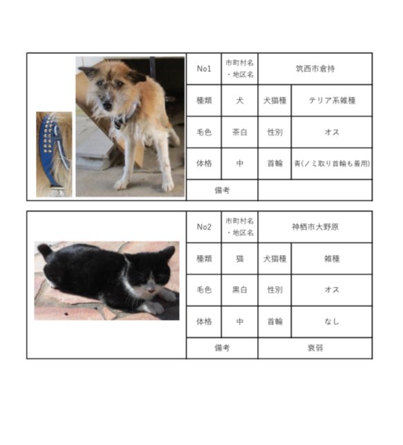茨城県生活衛生課動物愛護担当《公式》 tweet media