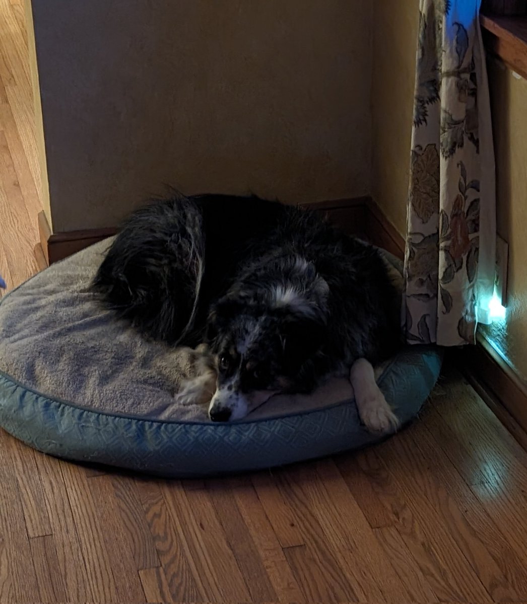 Brian Shipe tweet media