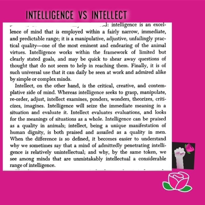 #philistinism #intellectual #intelligence #smartshaming #brain #education #skilledlabor