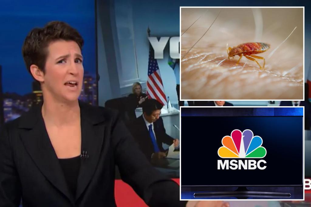 MSNBC staffers scatter after bed bugs found at Manhattan HQ ahead of Super Tuesday coverage: ‘They’re scrambling’ trib.al/pNuUguf