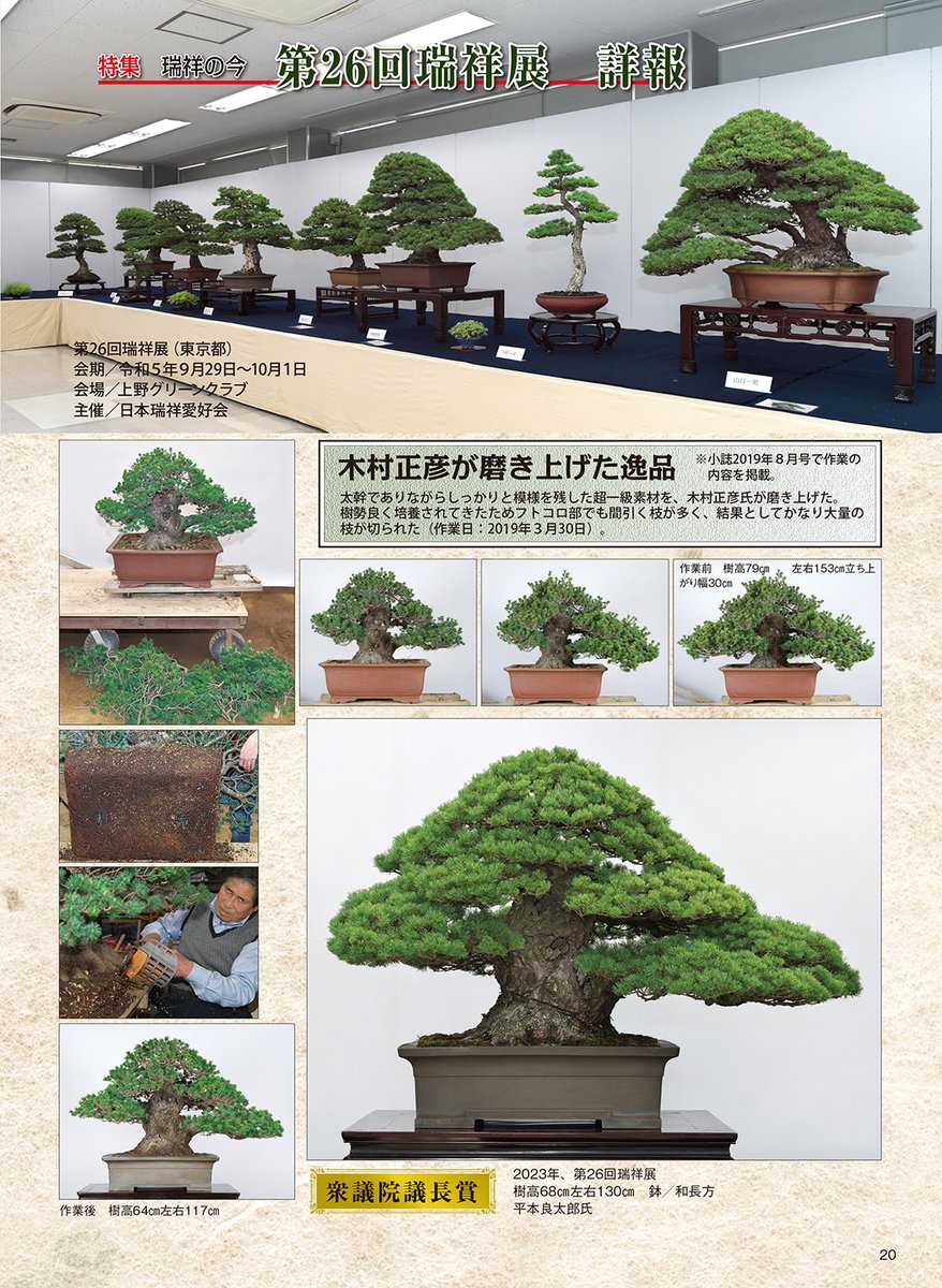 近代盆栽 2024年4月号 特集 瑞祥の今 □第26回瑞祥展詳報 □次世代育成