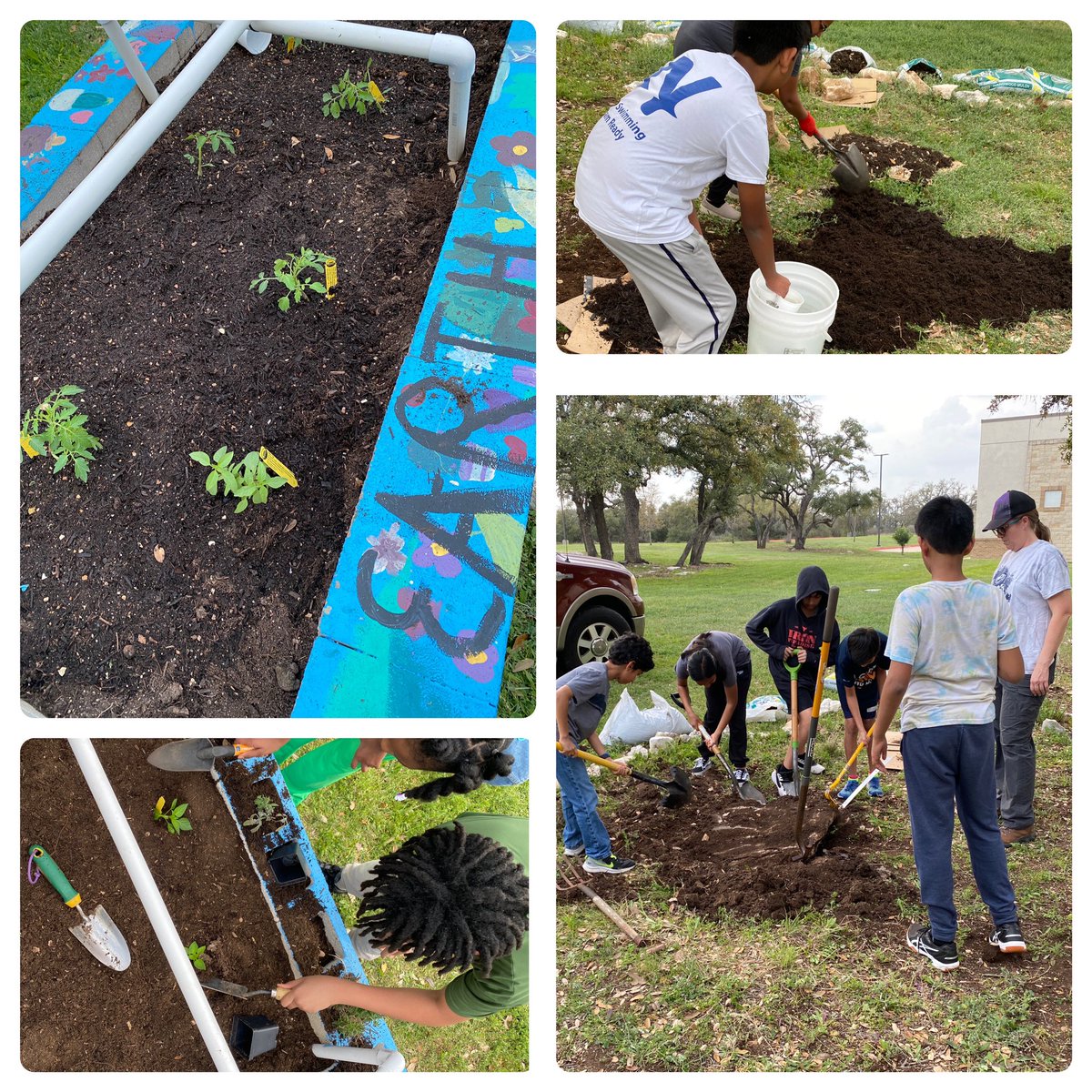 Bernadette Delagarza (@mrs_dlg) on Twitter photo Thank you all who helped with Garden Fest. We worked on our native and veggie gardens. Thanks <a href="/MelissaJanishe2/">Melissa Janisheck</a> <a href="/PearsonRanchMS/">Pearson Ranch MS</a> <a href="/MHSMavs/">McNeil High School</a> Band for the mulch <a href="/ecorise/">EcoRise</a> Thank you all who helped with Garden Fest. We worked on our native and veggie gardens. Thanks <a href="/MelissaJanishe2/">Melissa Janisheck</a> <a href="/PearsonRanchMS/">Pearson Ranch MS</a> <a href="/MHSMavs/">McNeil High School</a> Band for the mulch <a href="/ecorise/">EcoRise</a>