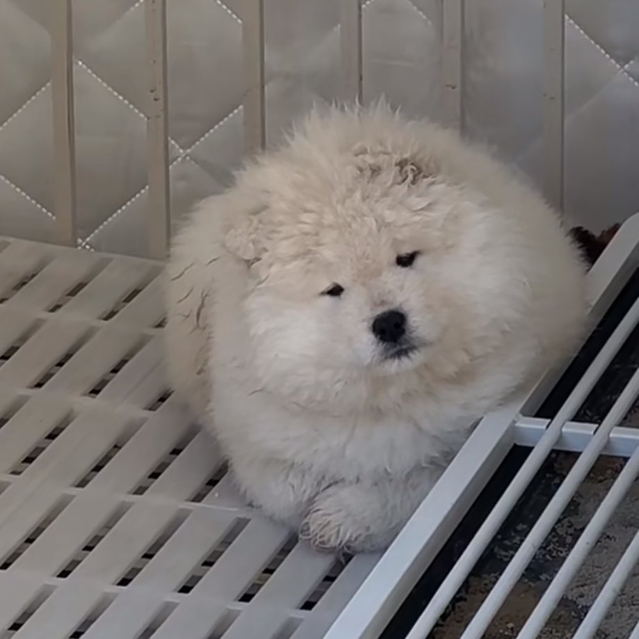 กมและเก่า