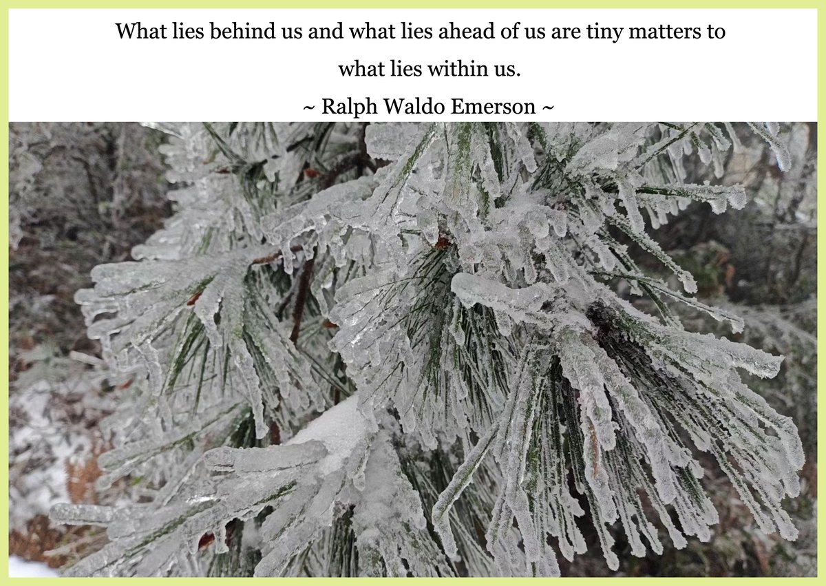 What lies behind us and what lies ahead of us are tiny matters to what lies within us.
~ Ralph Waldo Emerson ~
#courage #tinymatters