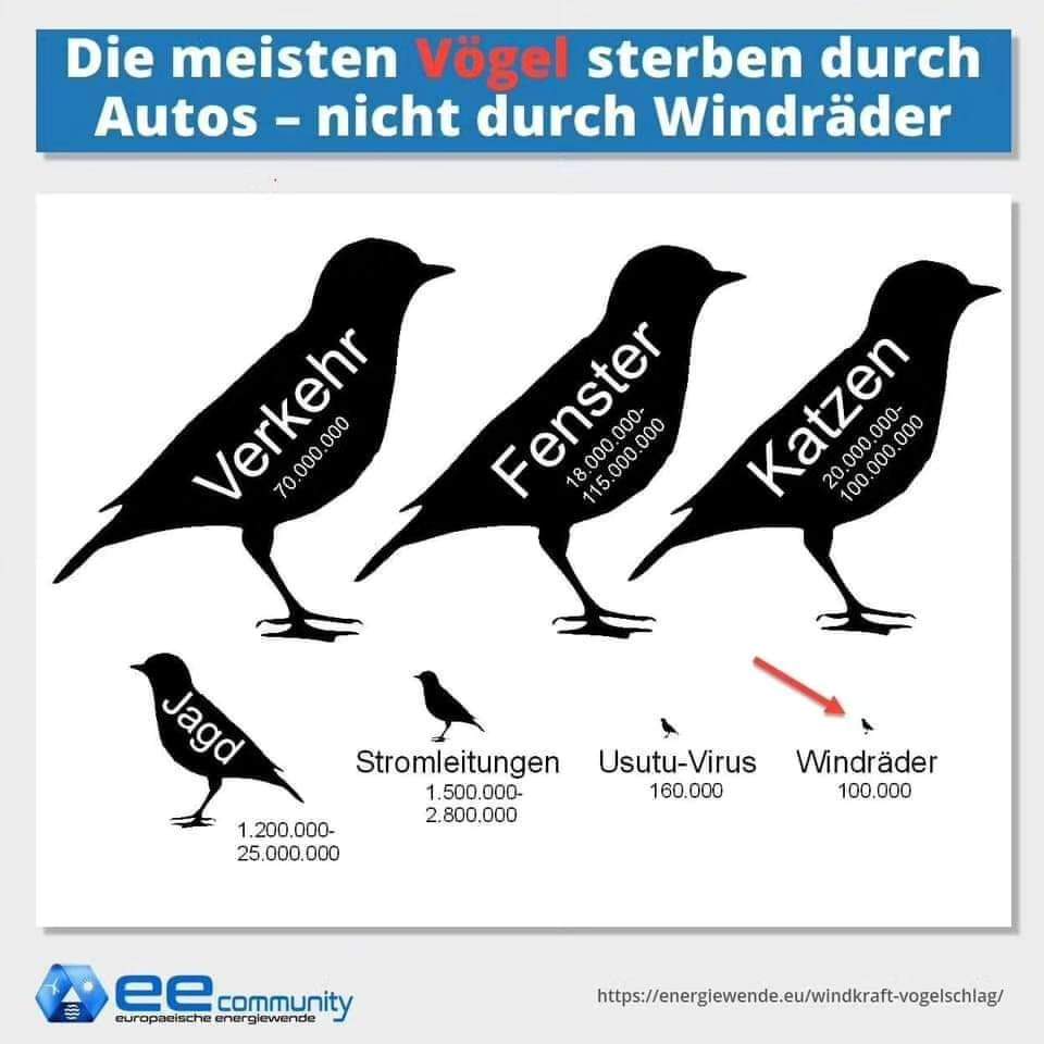 Weitaus die meisten Vögel sterben durch Autos, durch #windtubinen nur wenige. #Windkraft