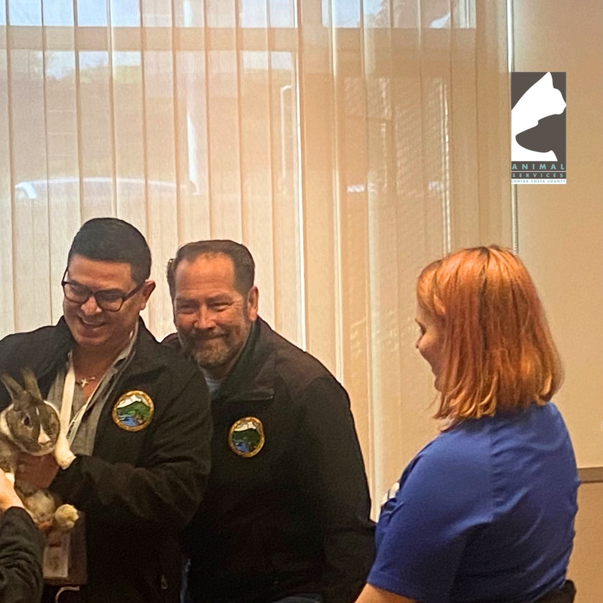 Contra Costa Animal Services tweet media
