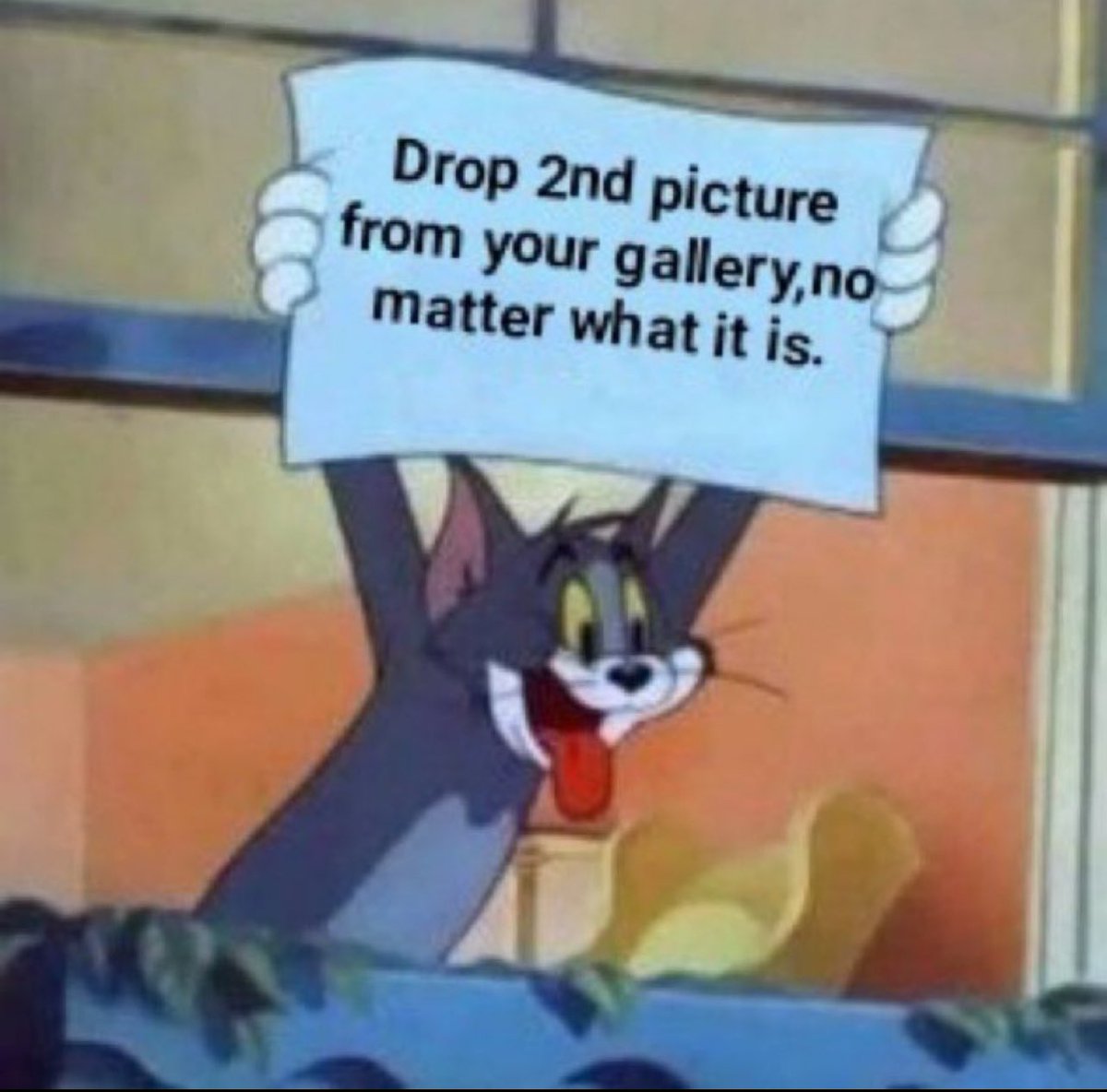 LeAnne Bell tweet media