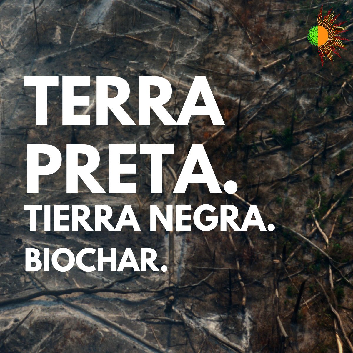 La #terraPreta fue creada  por los indígenas de la amazonia, su fin fertilizar sus #suelos. Caracterizada por ser beneficiosa  para el crecimiento de las plantas y por su capacidad para retener nutrientes y agua. 
En Biotermica somos productores de esta enmienda de suelos.