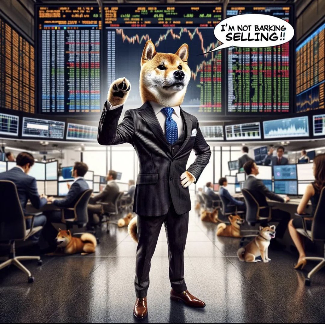 djozone99's tweet image. Wtf #Doge!! You beautiful beautiful dog 
😍🐕✨
#point2 $Doge #Dogecoin #DogeArmy #DogeParty