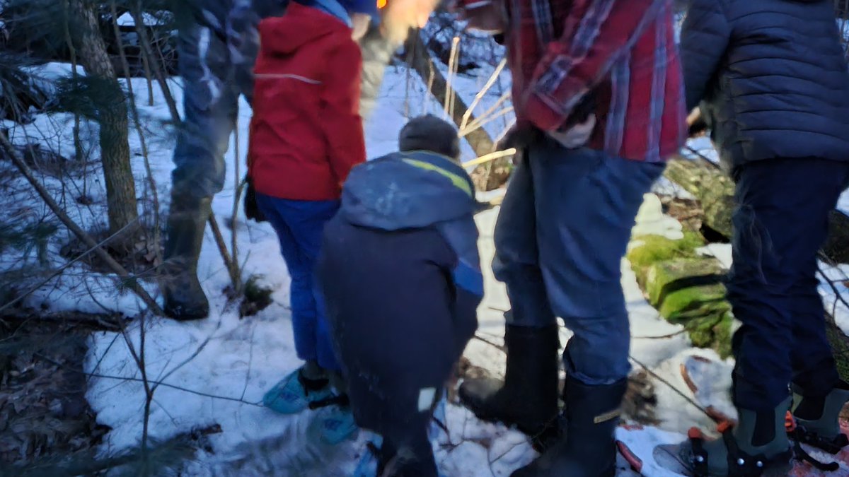 Shawn Forth tweet media