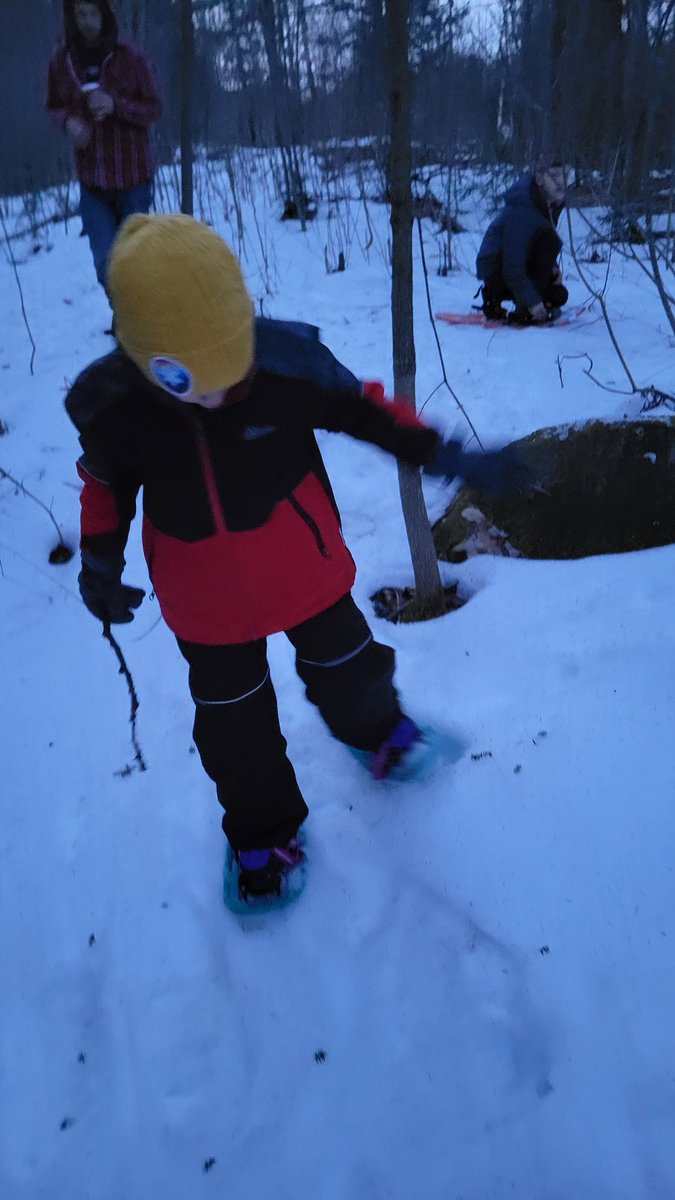 Shawn Forth tweet media