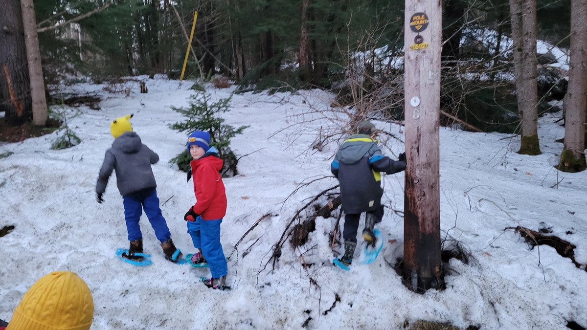 Shawn Forth tweet media