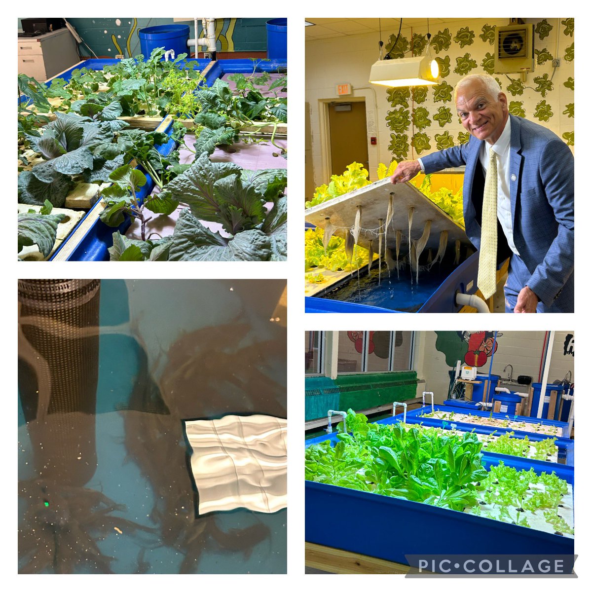 What a great evening at Westdale Middle School tonight. Toured the aquaponics lab with @BESE_LA Chair and program visionary Ronnie Morris and Principal Remble. Such a fantastic hands-on STEM opportunity for students -raising catfish & lettuce too! #Sustainability @GeauxLaSTEM