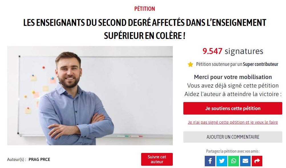 Collectif 384 tweet media