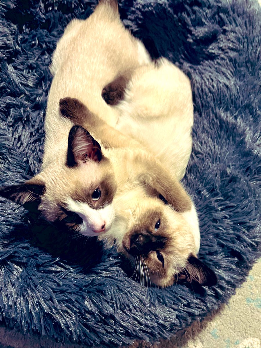 At half-time with no clear winner in the blue bed derby.