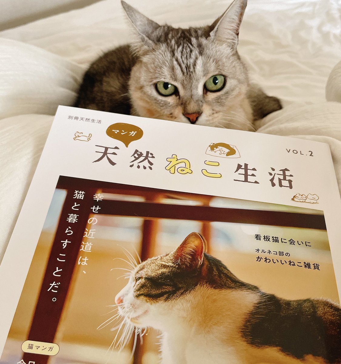 🐟掲載のお知らせ🐟
『マンガ天然ねこ生活』にフミウニの漫画が掲載されています!
フミウニとの同居生活に伴う引っ越しについてのお話です。
大変だった〜